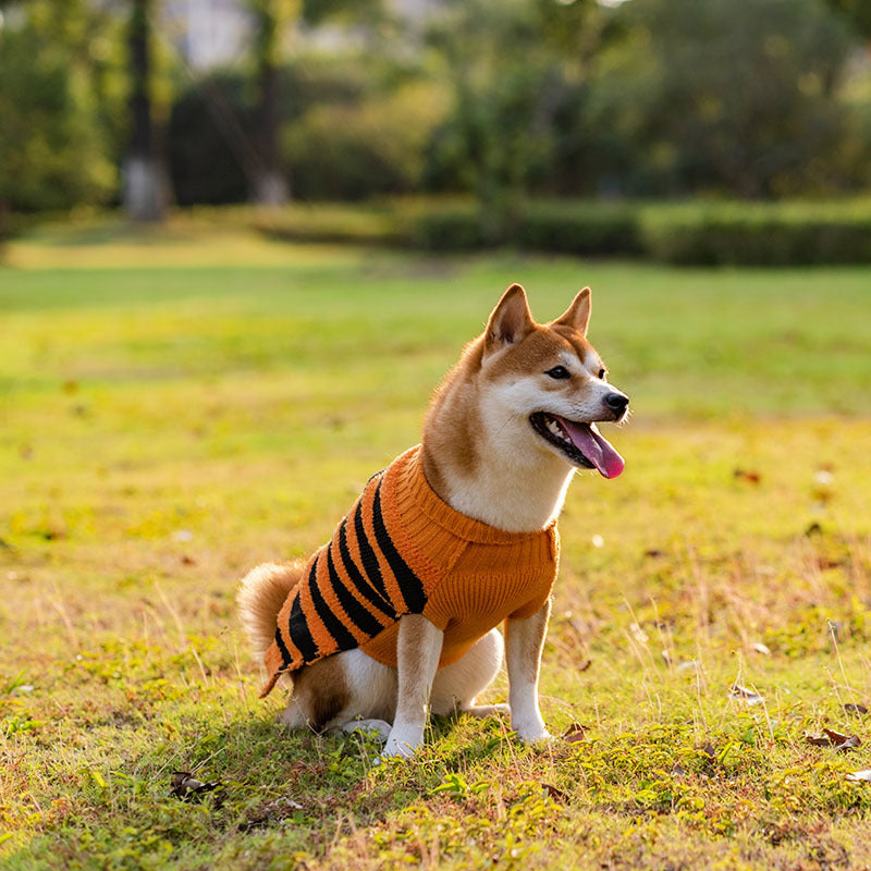 Halloween Dog Sweaters Pet Costume Teddy Warm Leisure Sweater Cosplay Clothes For Dogs Pets Outfits