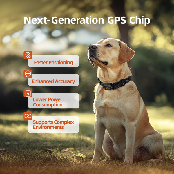 F830 GPS Wireless Dog Fence