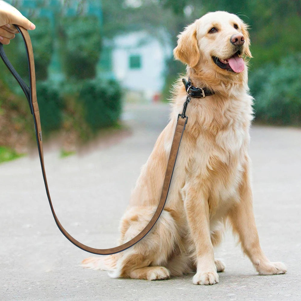 Premium Leather Dog Leash