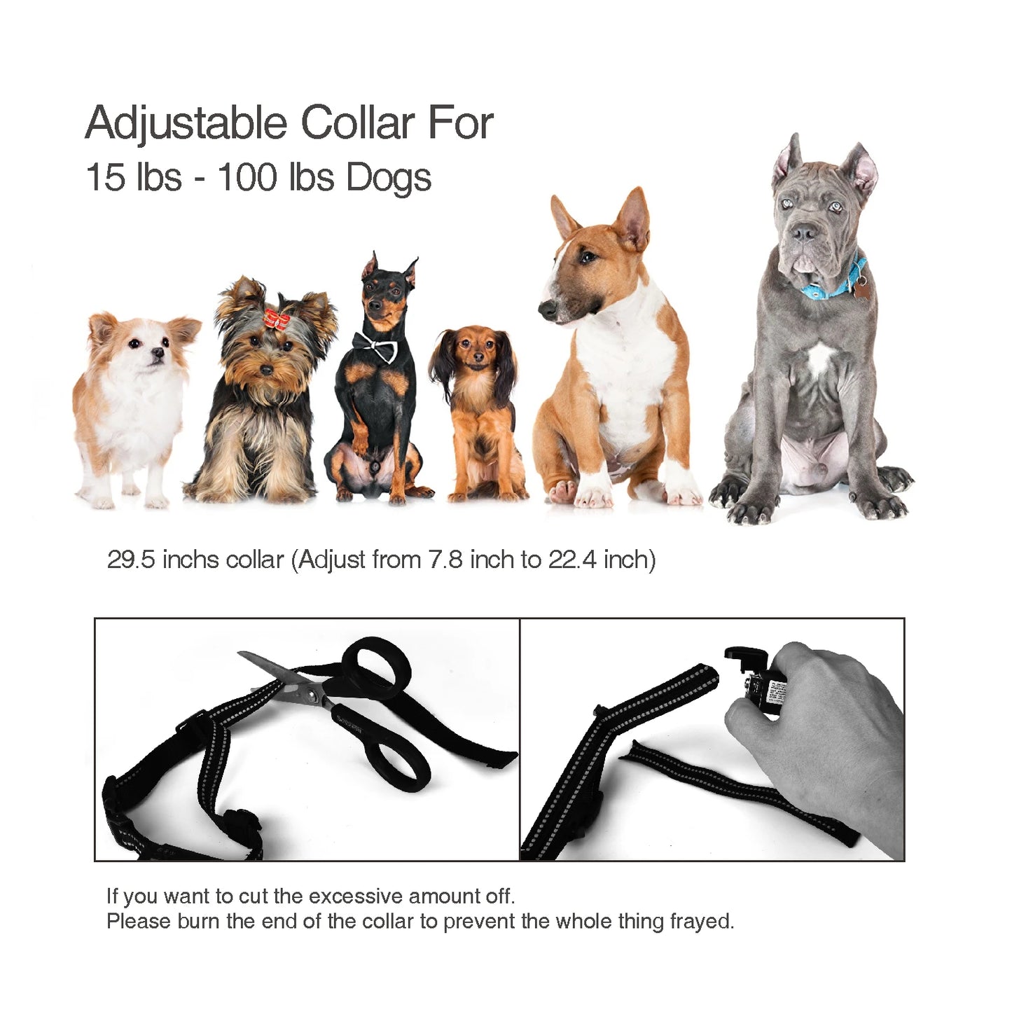 Hunter Dog Training Collar with Beeper