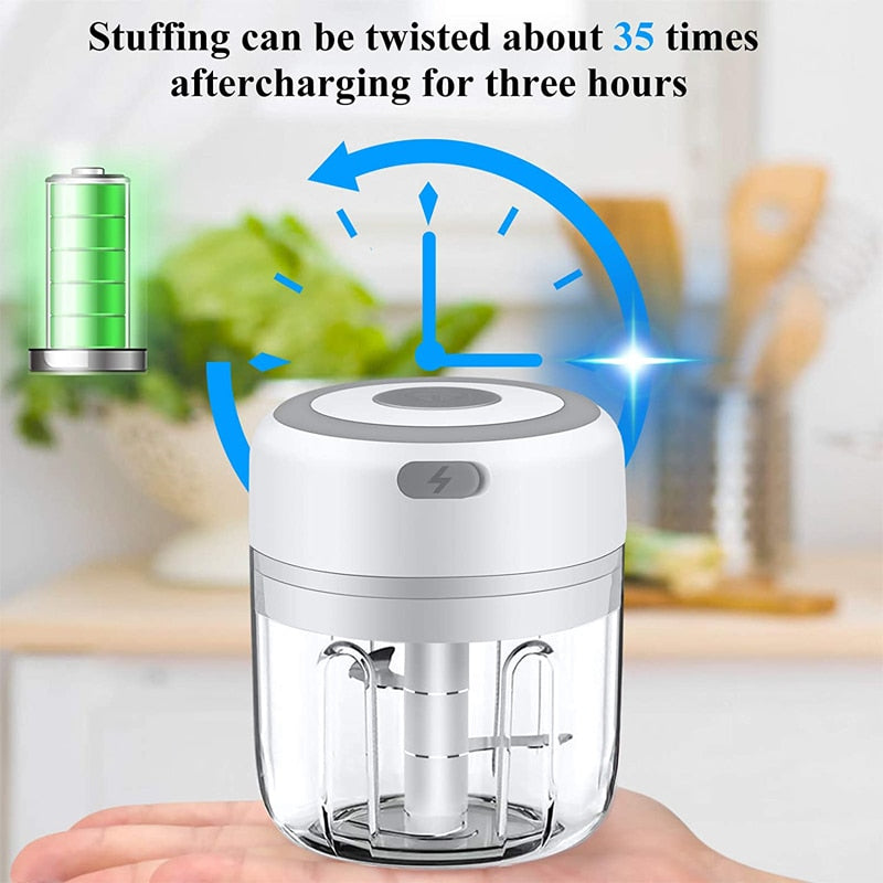 100/250ML Powerful Mini Electric Garlic/Vegetable Chopper Blender