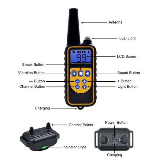 Dog Training E-Collar with Remote Control