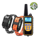 Dog Training E-Collar with Remote Control