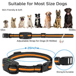 Replacement Dog Training Collar for RS2 Model – Collar Only, Remote Required