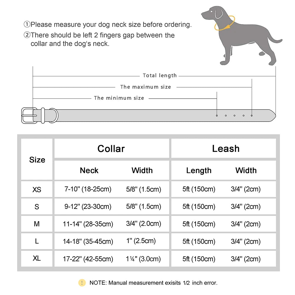 Personalised Dog ID Collar and Leash Set