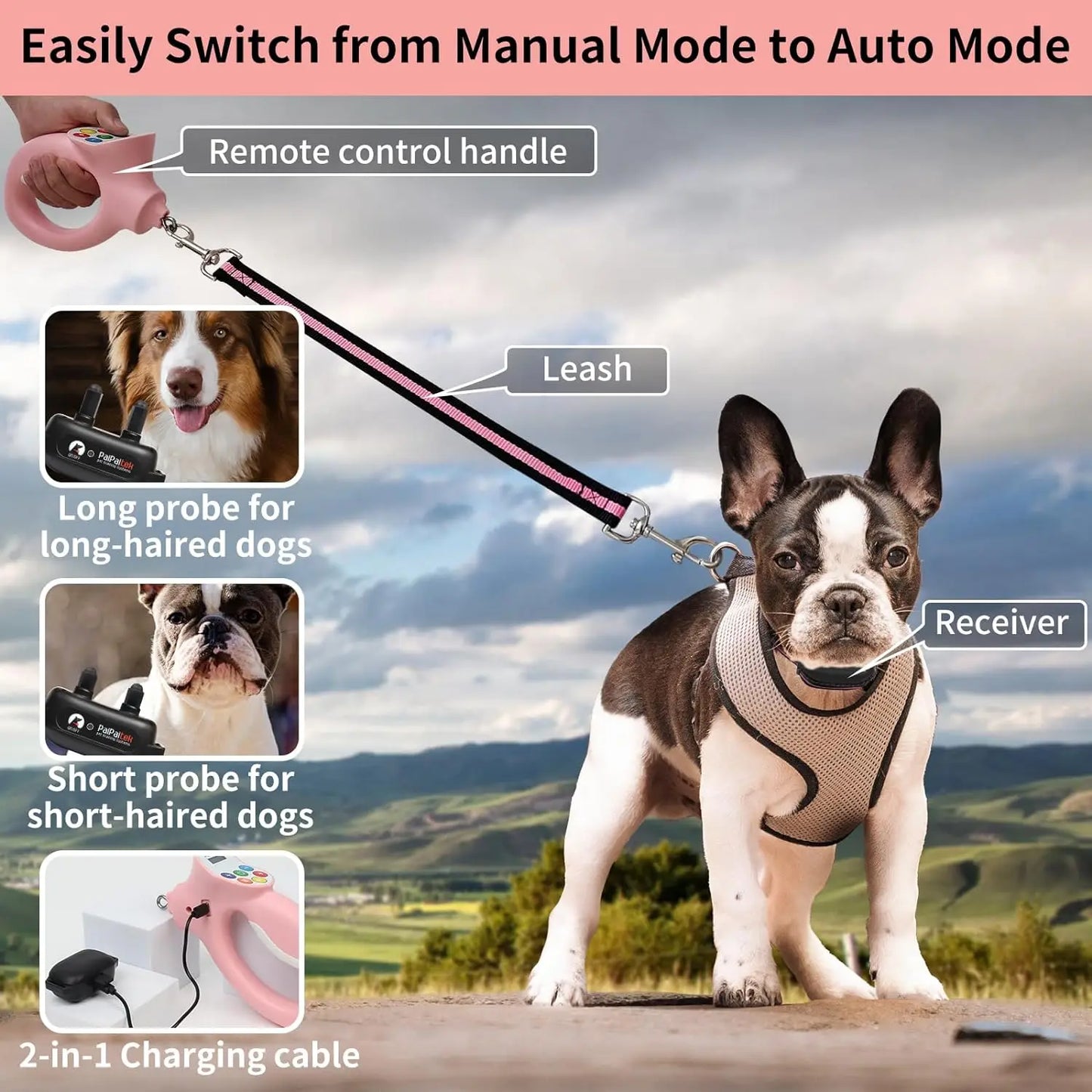 Smart Electronic Dog Training Leash