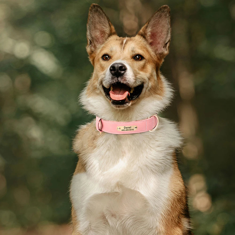 Personalised PU Leather Dog Collar and Leash Set with Custom ID Nameplate