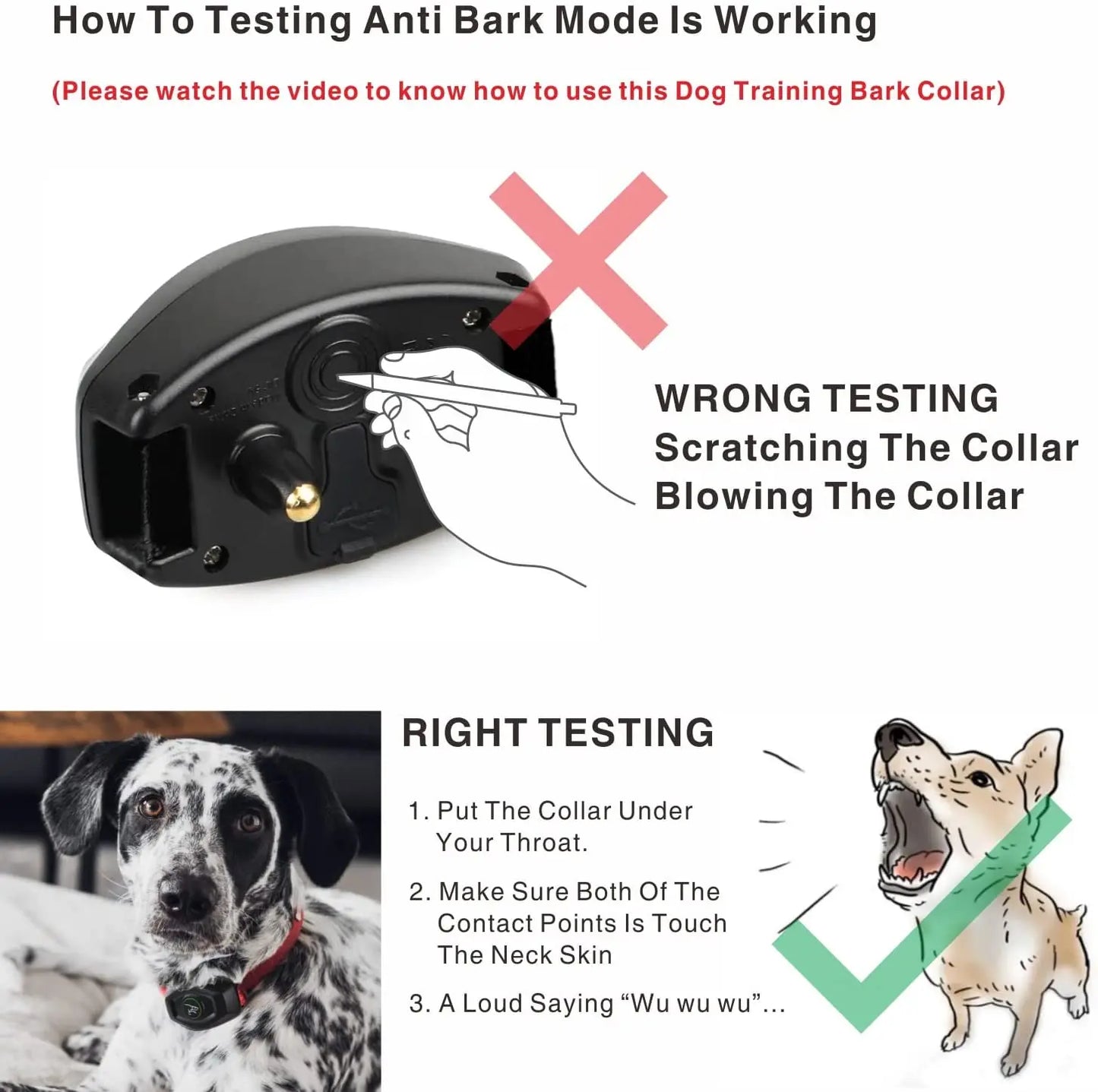 Dog Training Collar