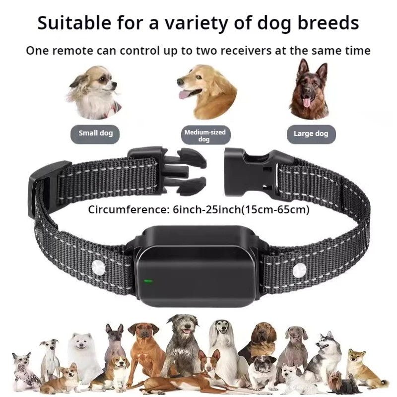 Dog Training Collar with Remote 