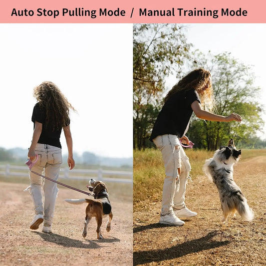 Dog Electric Training Collar With Smart Training Leash 1600ft