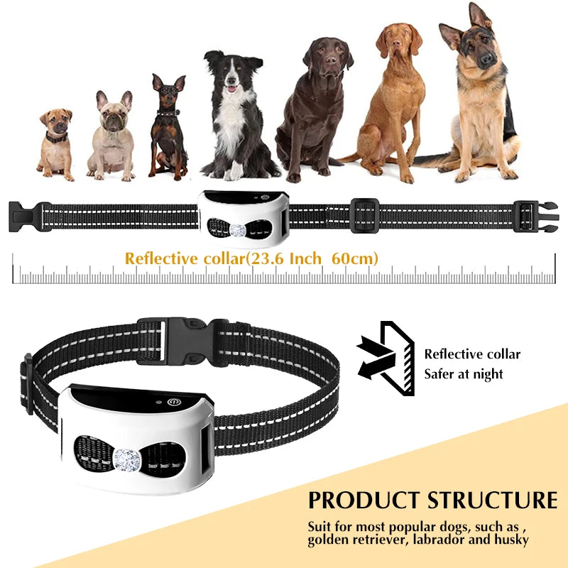 2-in-1 Wireless Dog Fence System & Remote Training Collar