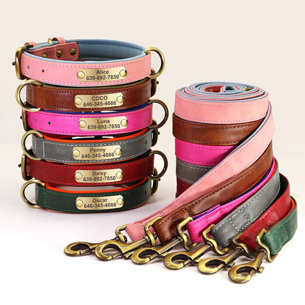 Personalised Dog ID Collar and Leash Set