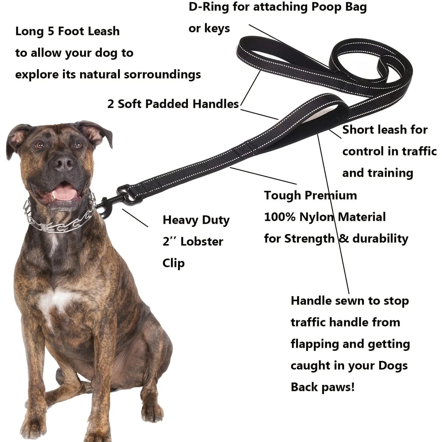 Heavy-Duty Double-Handle Nylon Dog Leash for Training and Control