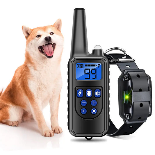 Electric Dog Training Device