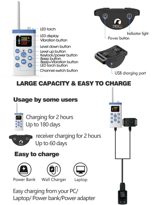 Cat Pet Training Device with Remote and Collar