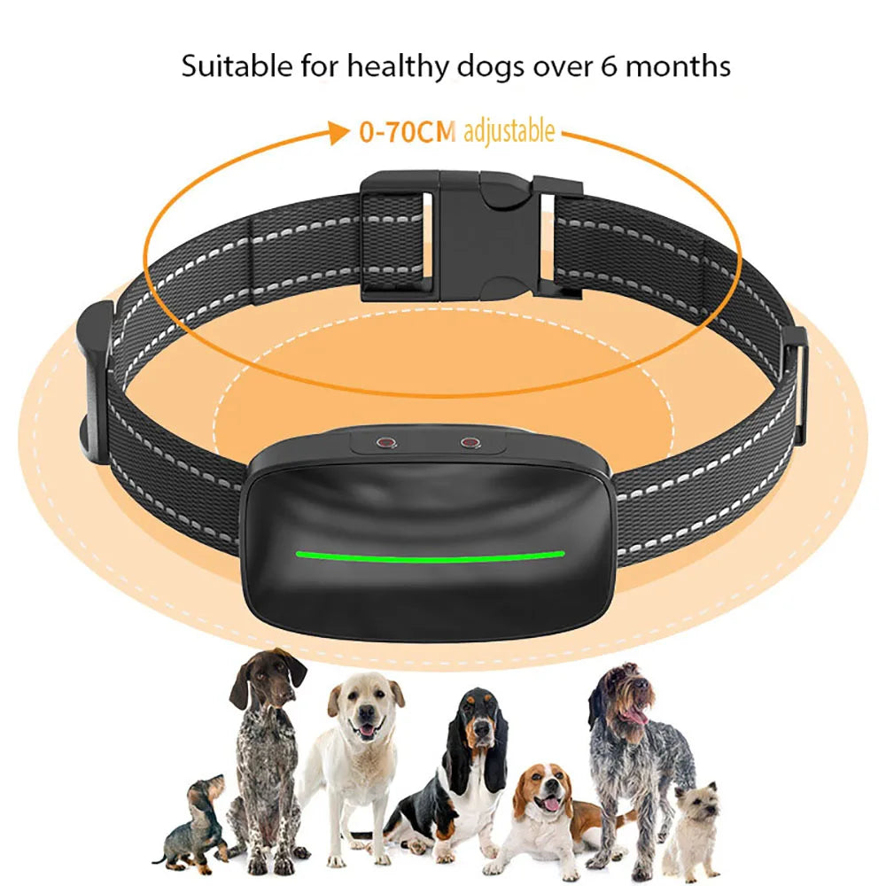 Waterproof Dog Training Collar