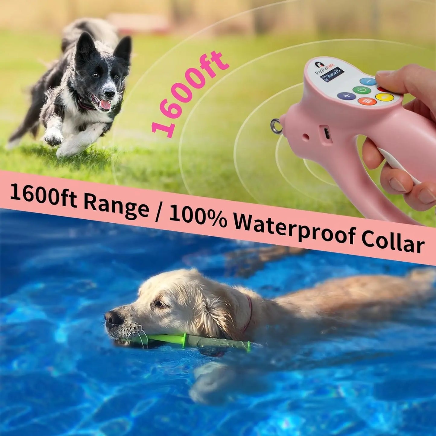 Smart Electronic Dog Training Leash