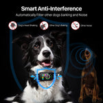 Waterproof Anti-Bark Training Collar for Dogs