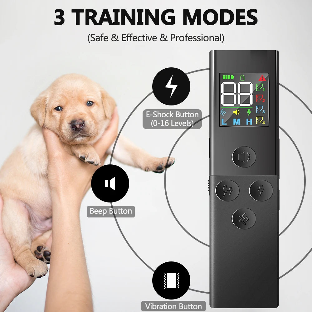 Intelligent Dog Training E-Collar with Remote