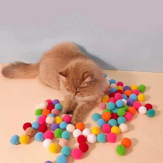 Interactive Cat Training Toy