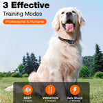 Replacement Dog Training Collar for RS2 Model – Collar Only, Remote Required