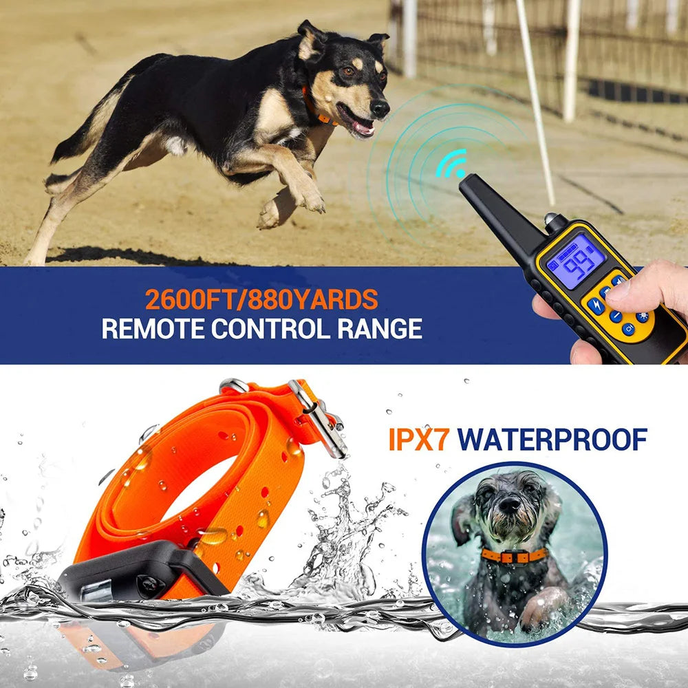 Rechargable Electric Dog Training Collar with Remote Control