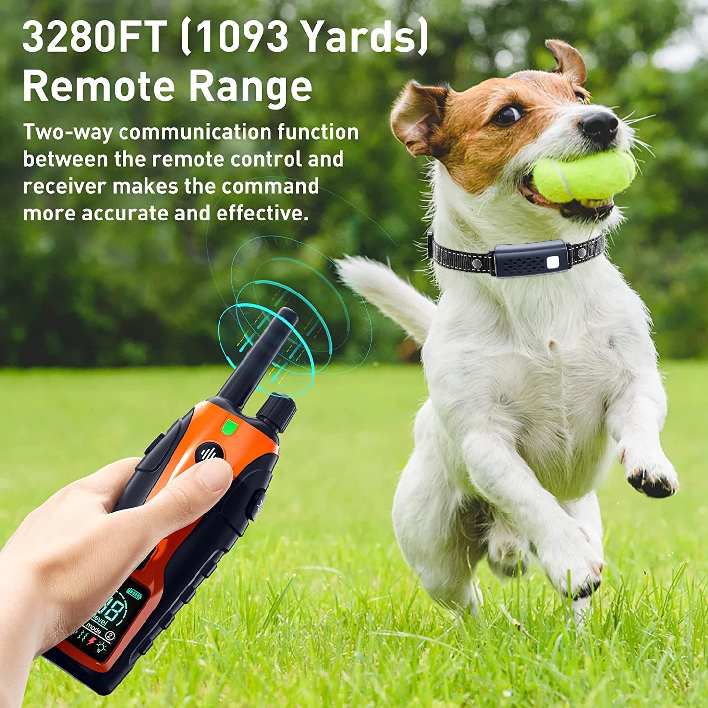 1000m Electric Dog Training Collar with Remote Control