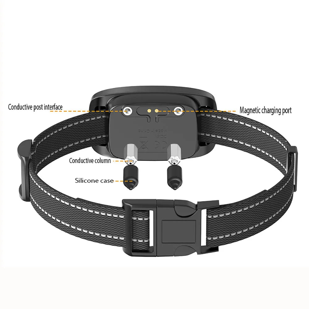 Waterproof Dog Training Collar