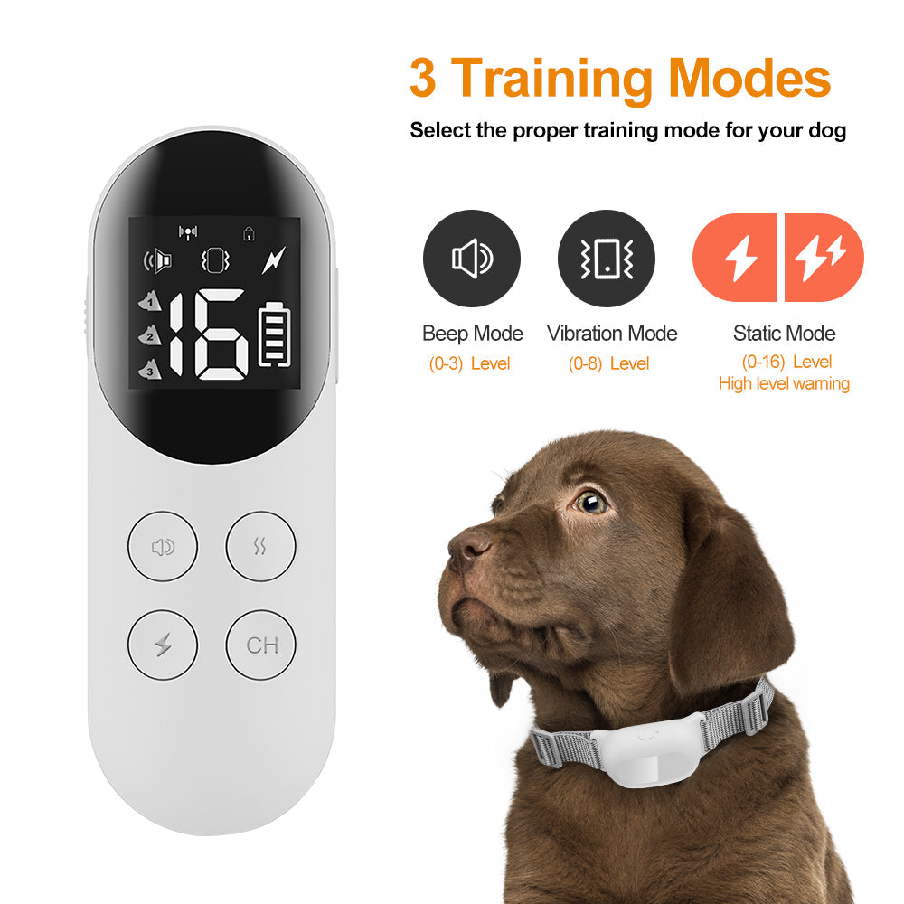 T200 Dog Training Collar