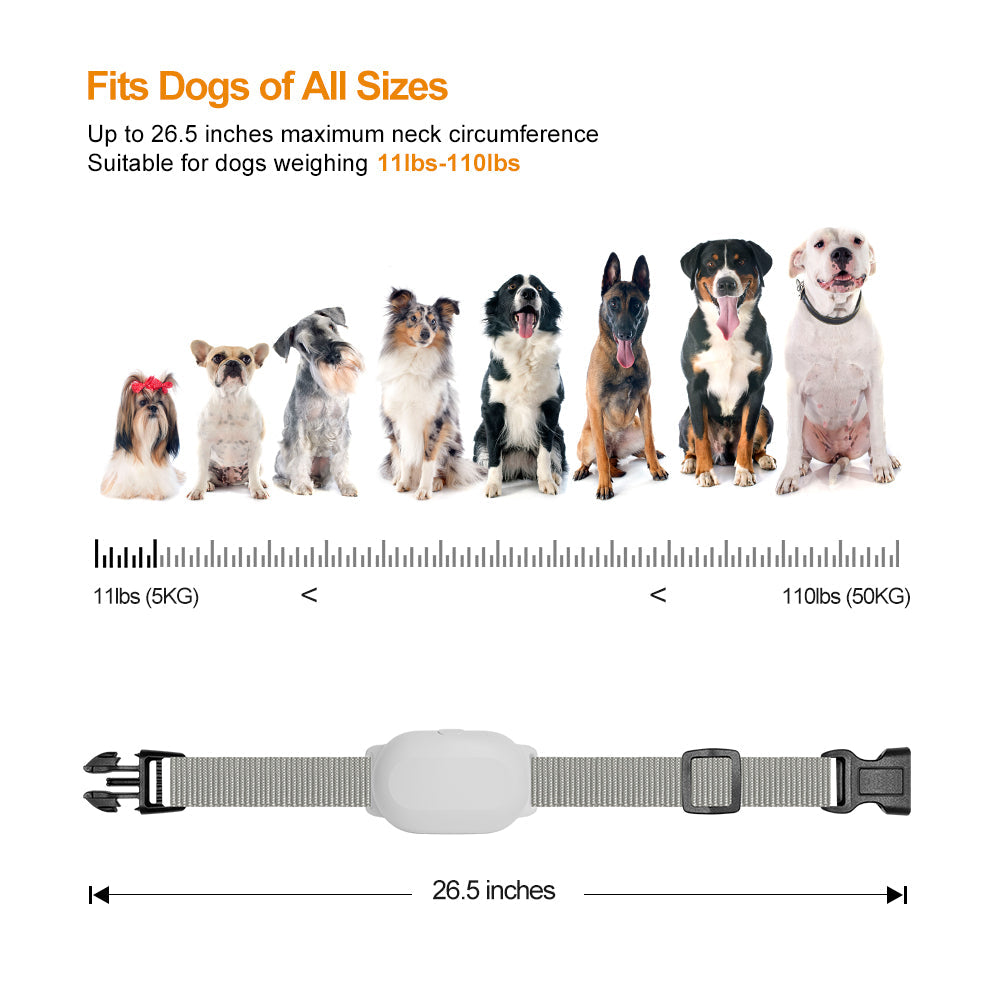 T200 Dog Training Collar