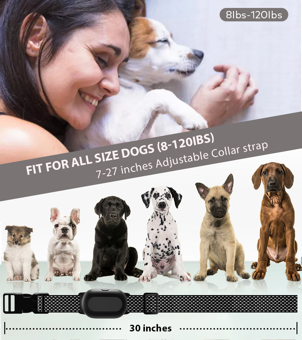 T300 Dog Training Collar