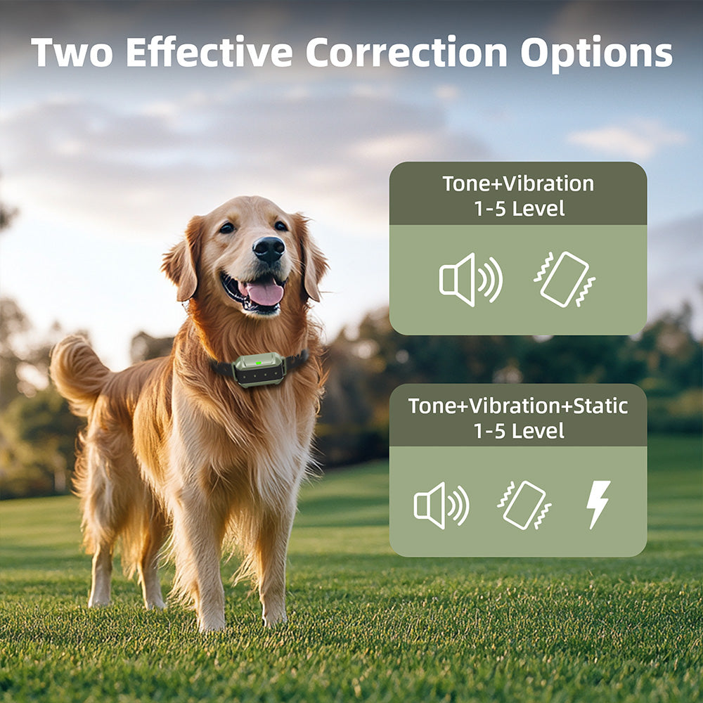 F910 Radar Wireless Dog Fence