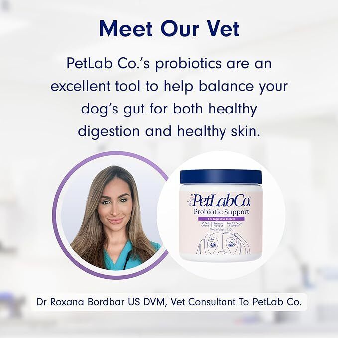 Petlab Co Probiotic Dog Chews Gut Health Support Treats Stop Itchy Skin & Yeast.