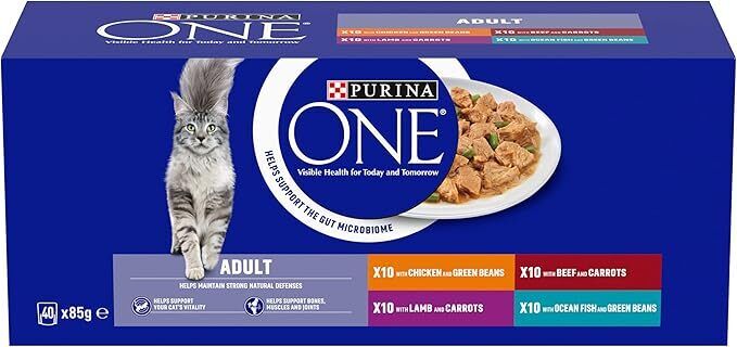 PURINA ONE Mini Fillets Mixed Selection in Gravy Wet Cat Food 40X85G