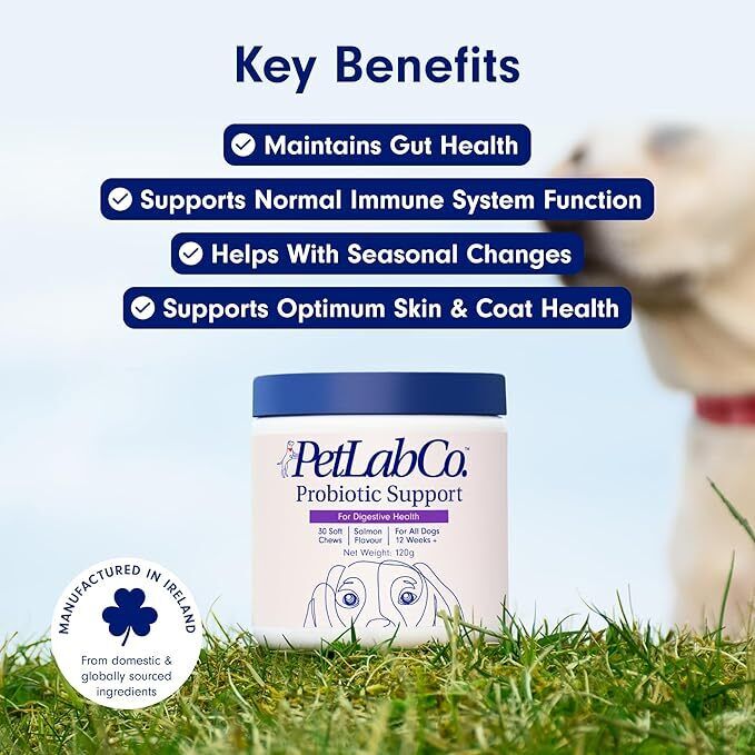 Petlab Co Probiotic Dog Chews Gut Health Support Treats Stop Itchy Skin & Yeast.